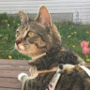 Meet your Posher, Amy